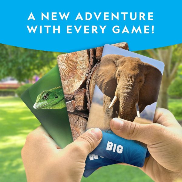 national geographic scavenger hunt for kids card game 3