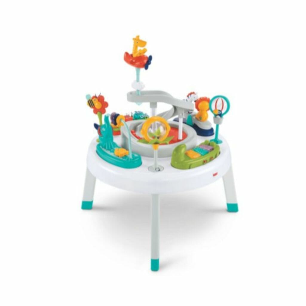 Sit to Stand Activity Center