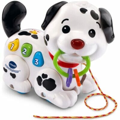 VTech Pull and Sing Puppy